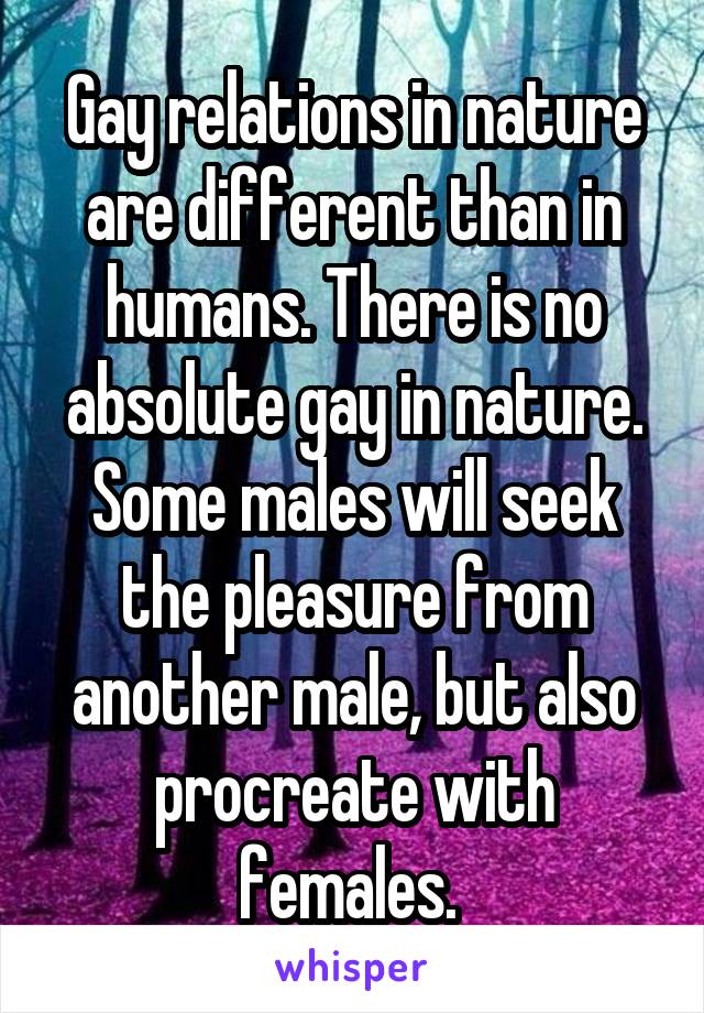 Gay relations in nature are different than in humans. There is no absolute gay in nature. Some males will seek the pleasure from another male, but also procreate with females. 