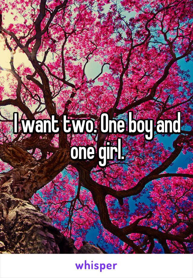 I want two. One boy and one girl.