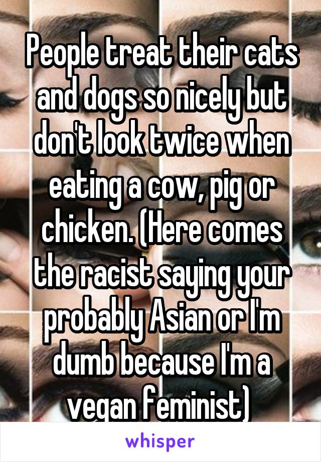 People treat their cats and dogs so nicely but don't look twice when eating a cow, pig or chicken. (Here comes the racist saying your probably Asian or I'm dumb because I'm a vegan feminist) 