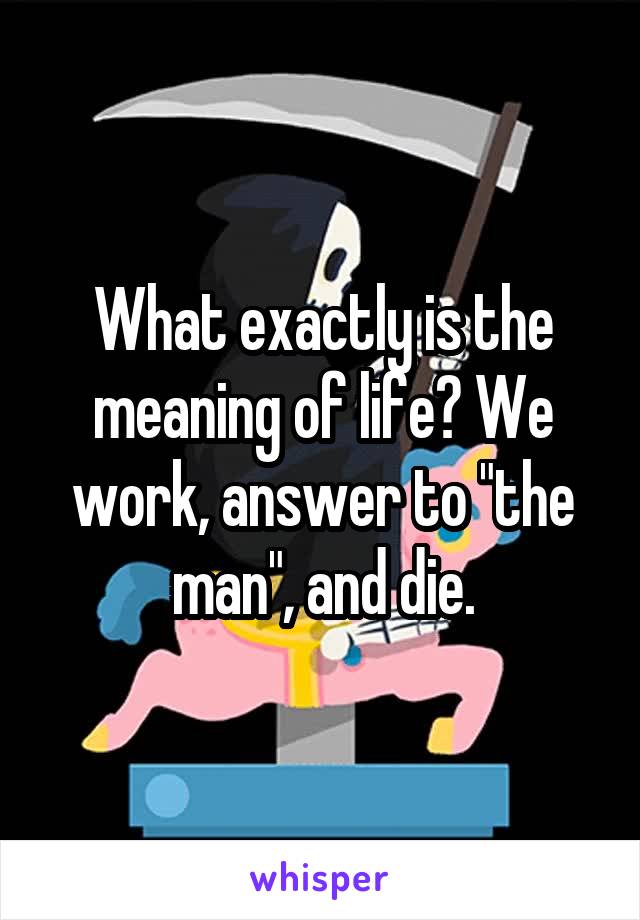 What exactly is the meaning of life? We work, answer to "the man", and die.