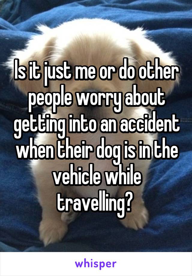 Is it just me or do other people worry about getting into an accident when their dog is in the vehicle while travelling? 