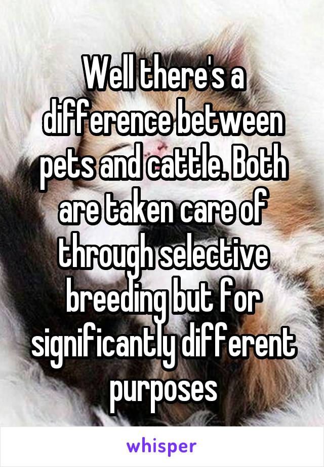 Well there's a difference between pets and cattle. Both are taken care of through selective breeding but for significantly different purposes