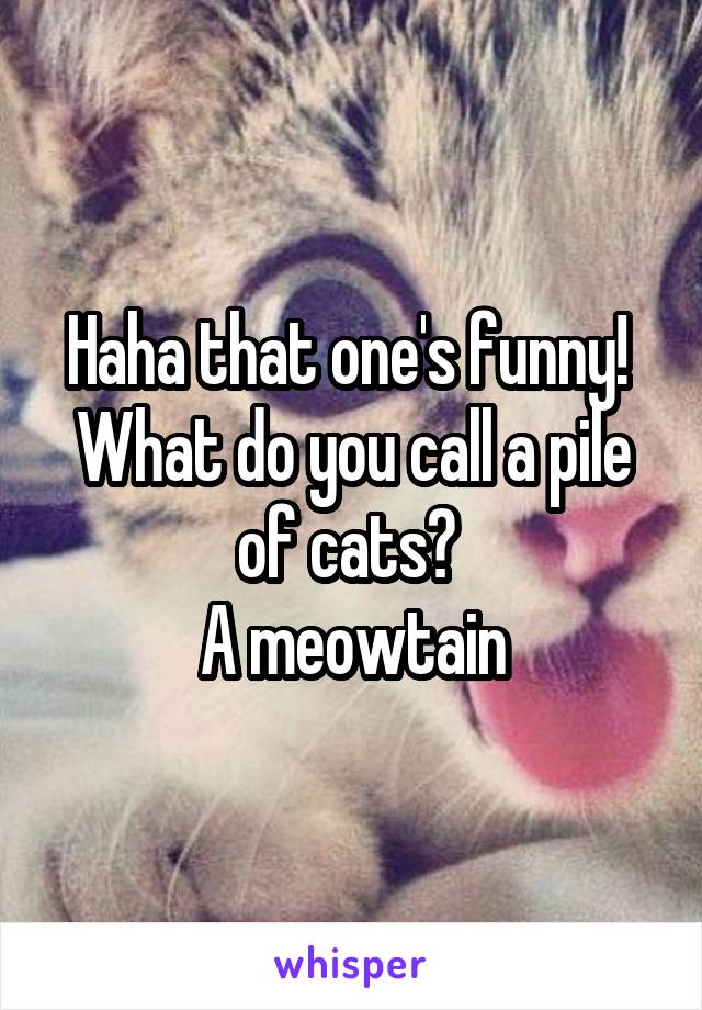 Haha that one's funny! 
What do you call a pile of cats? 
A meowtain