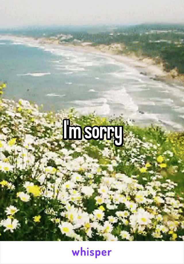 I'm sorry