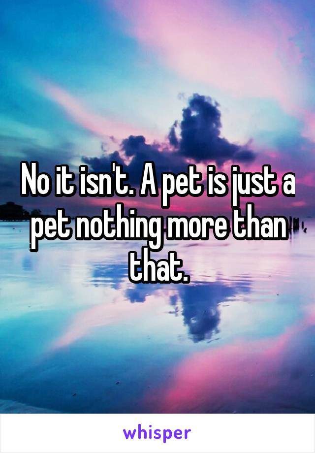 No it isn't. A pet is just a pet nothing more than that.