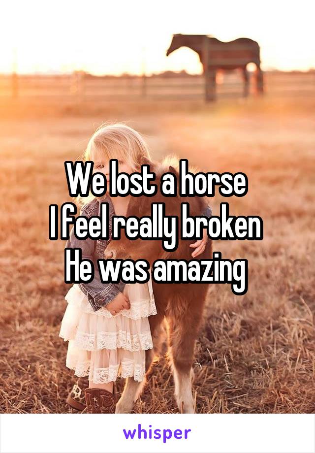 We lost a horse 
I feel really broken 
He was amazing 