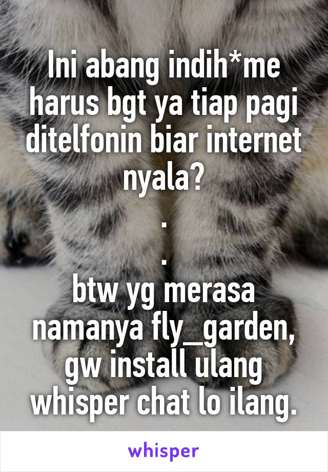 Ini abang indih*me harus bgt ya tiap pagi ditelfonin biar internet nyala?
.
.
btw yg merasa namanya fly_garden,
gw install ulang whisper chat lo ilang.