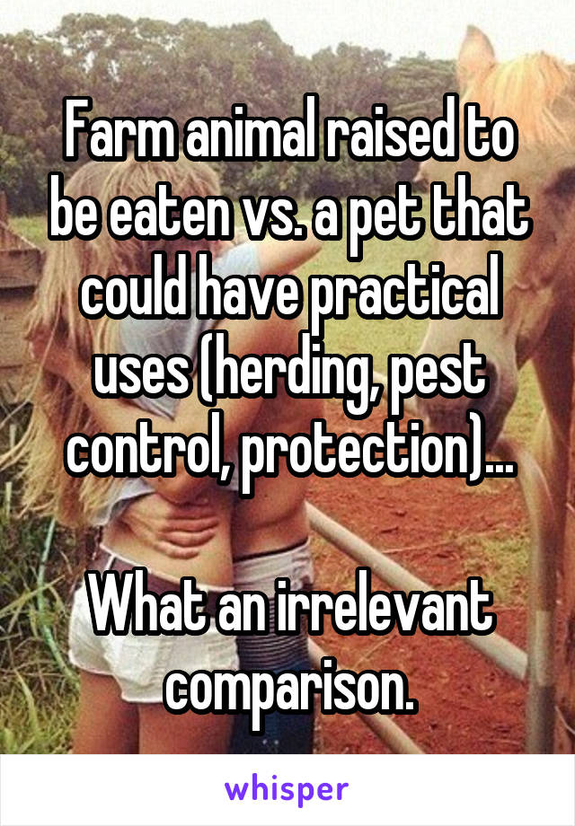 Farm animal raised to be eaten vs. a pet that could have practical uses (herding, pest control, protection)...

What an irrelevant comparison.