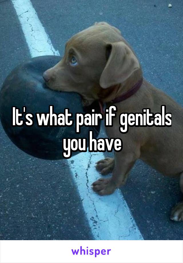 It's what pair if genitals you have