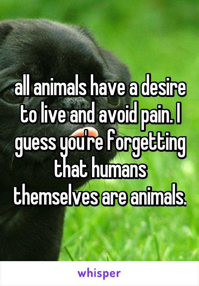 all animals have a desire to live and avoid pain. I guess you're forgetting that humans themselves are animals.