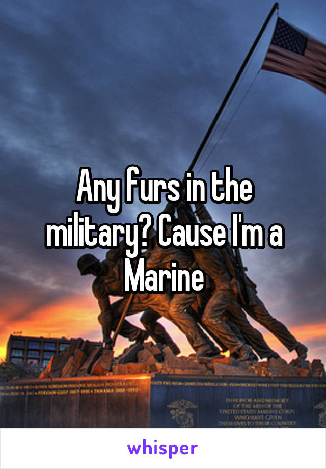 Any furs in the military? Cause I'm a Marine