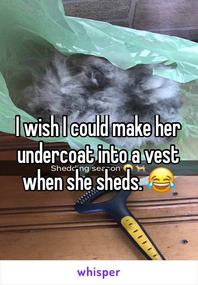 I wish I could make her undercoat into a vest when she sheds. 😂