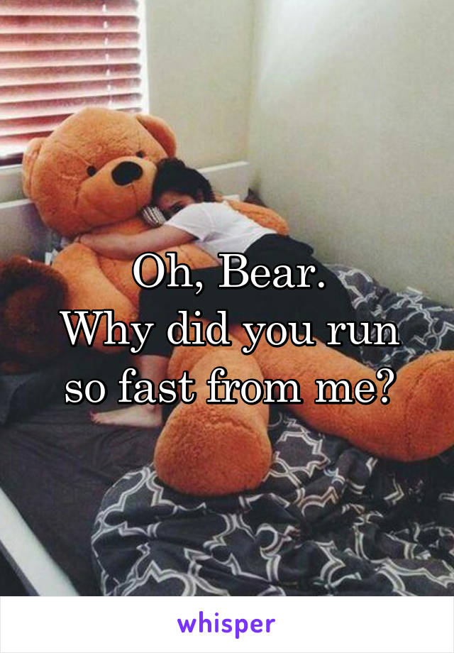 Oh, Bear.
Why did you run so fast from me?