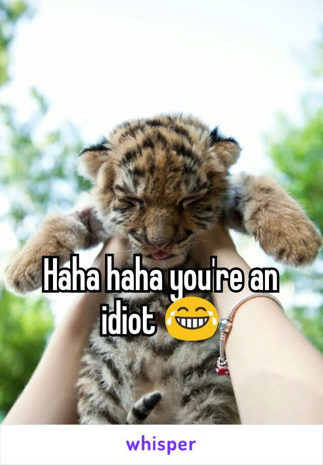 Haha haha you're an idiot 😂