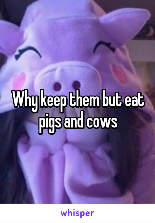 Why keep them but eat pigs and cows