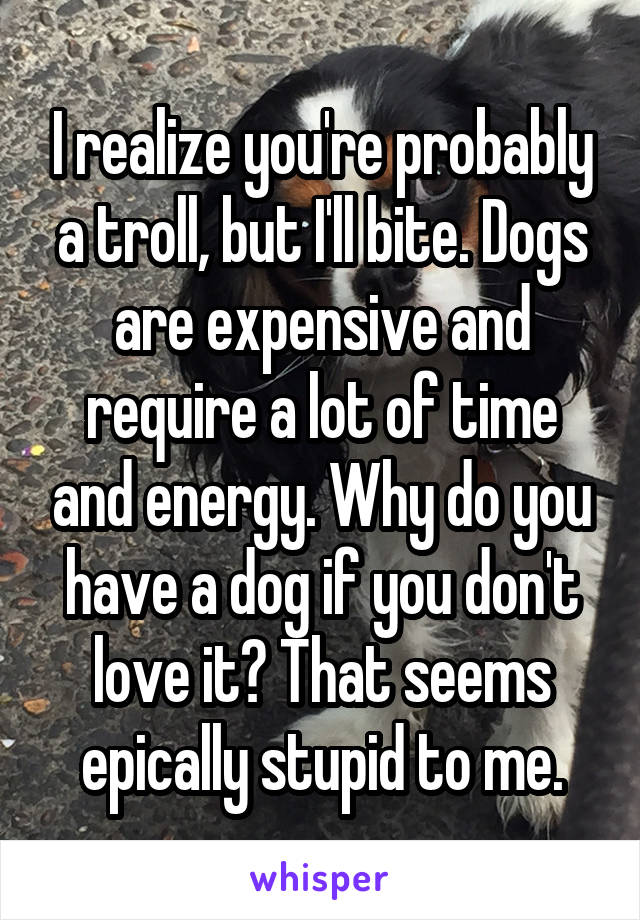 I realize you're probably a troll, but I'll bite. Dogs are expensive and require a lot of time and energy. Why do you have a dog if you don't love it? That seems epically stupid to me.