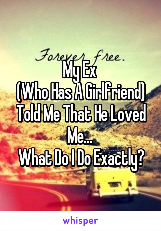 My Ex 
(Who Has A Girlfriend)
Told Me That He Loved Me... 
What Do I Do Exactly?