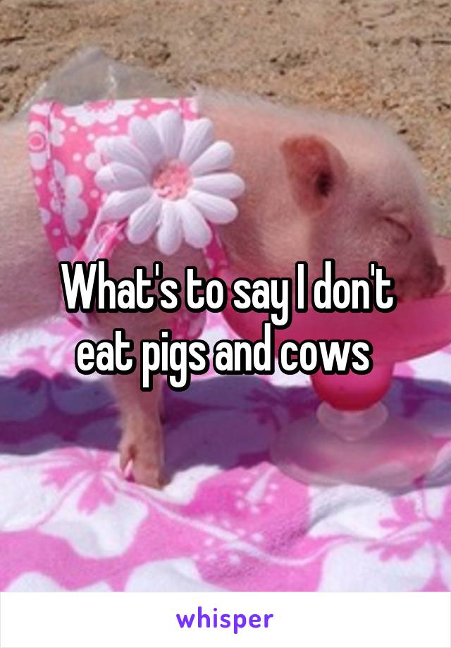 What's to say I don't eat pigs and cows 