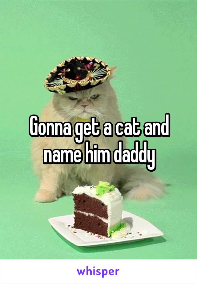 Gonna get a cat and name him daddy