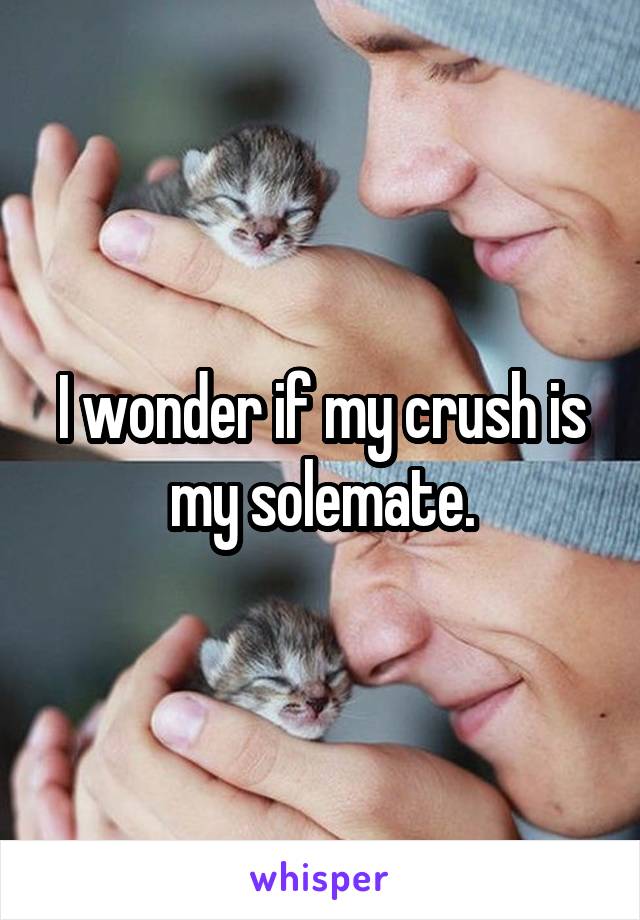 I wonder if my crush is my solemate.