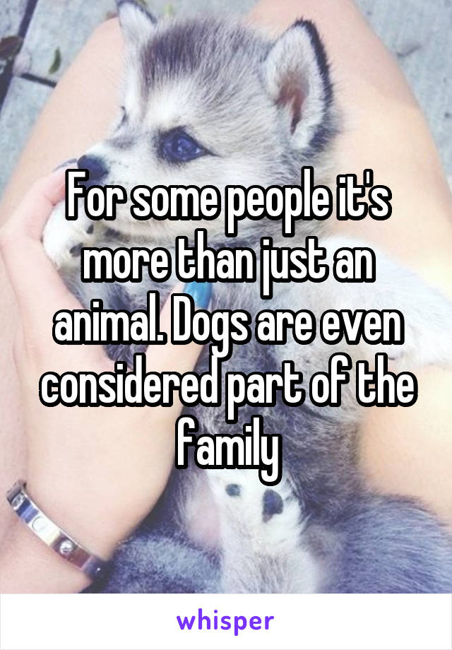 For some people it's more than just an animal. Dogs are even considered part of the family