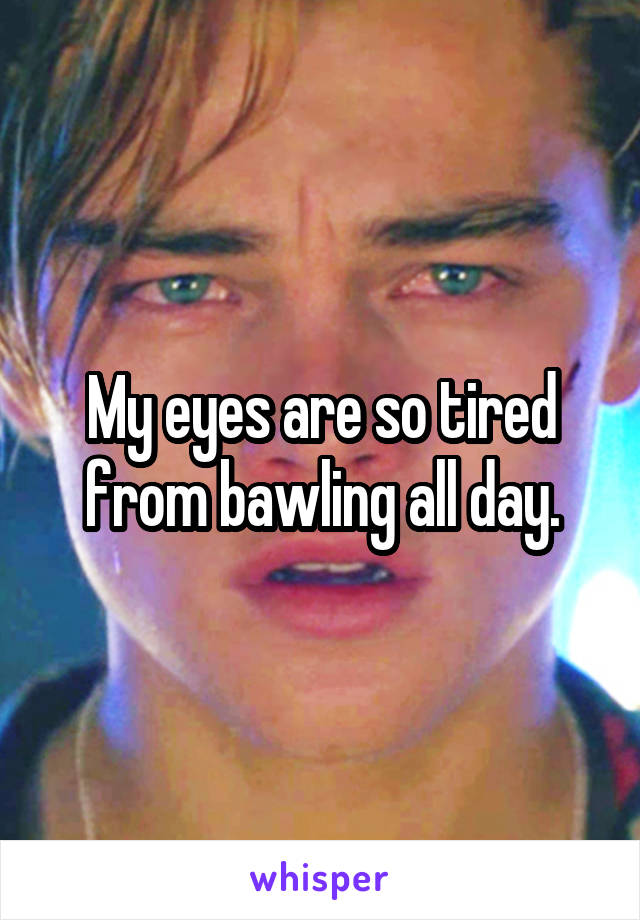 My eyes are so tired from bawling all day.