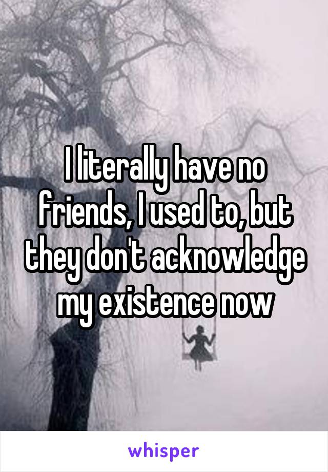 I literally have no friends, I used to, but they don't acknowledge my existence now