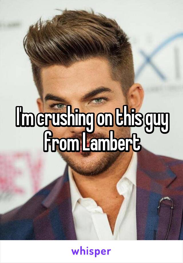 I'm crushing on this guy from Lambert