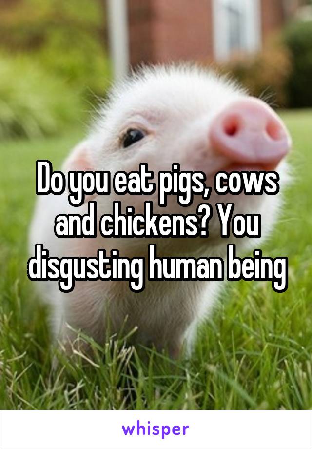 Do you eat pigs, cows and chickens? You disgusting human being