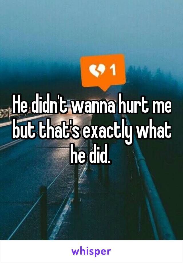 He didn't wanna hurt me but that's exactly what he did. 