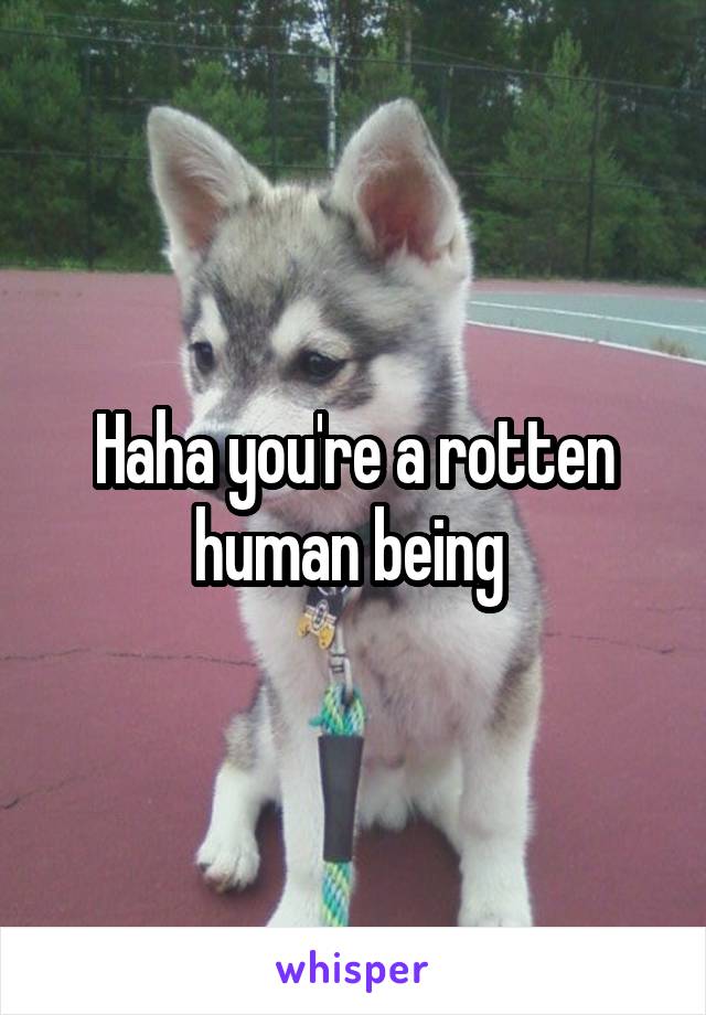 Haha you're a rotten human being 