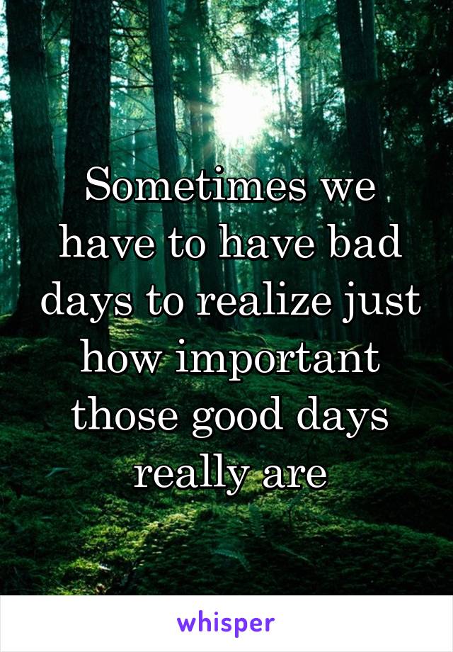 Sometimes we have to have bad days to realize just how important those good days really are