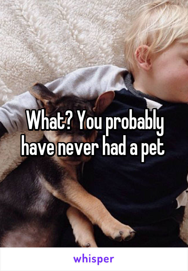 What? You probably have never had a pet 