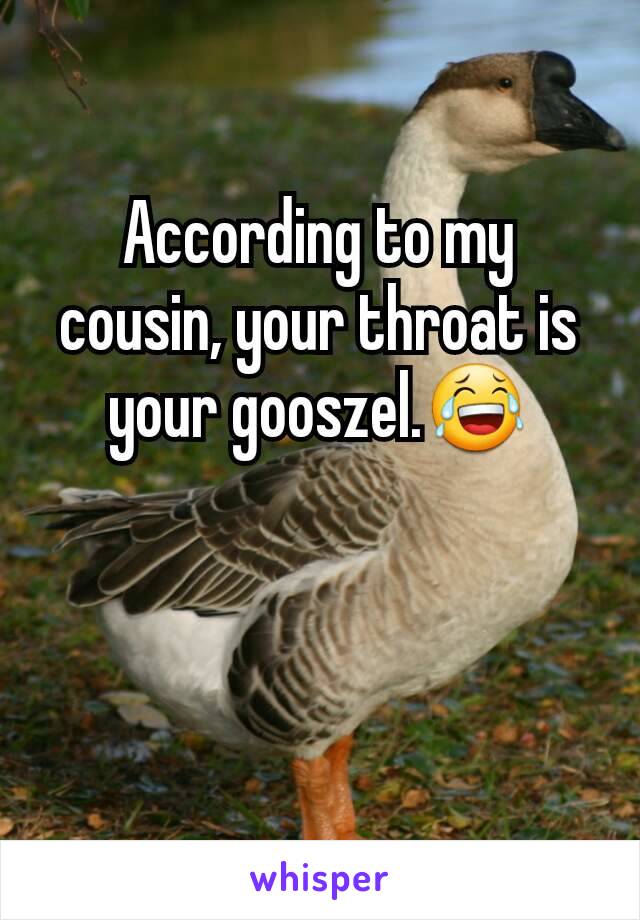 According to my cousin, your throat is your gooszel.😂