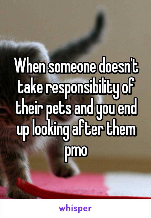 When someone doesn't take responsibility of their pets and you end up looking after them pmo