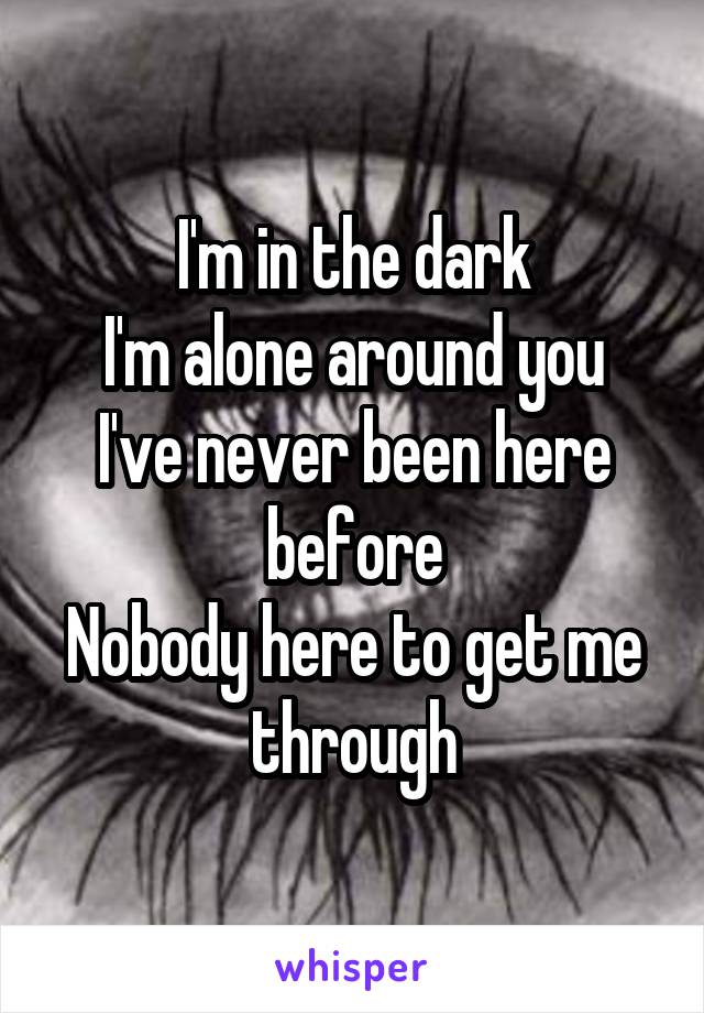 I'm in the dark
I'm alone around you
I've never been here before
Nobody here to get me through