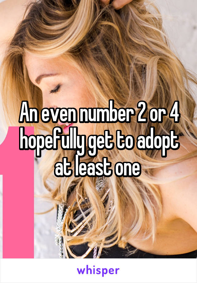 An even number 2 or 4 hopefully get to adopt at least one 