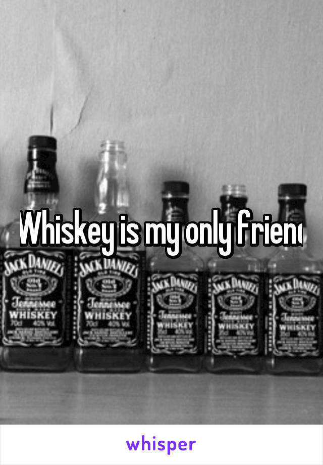 Whiskey is my only friend