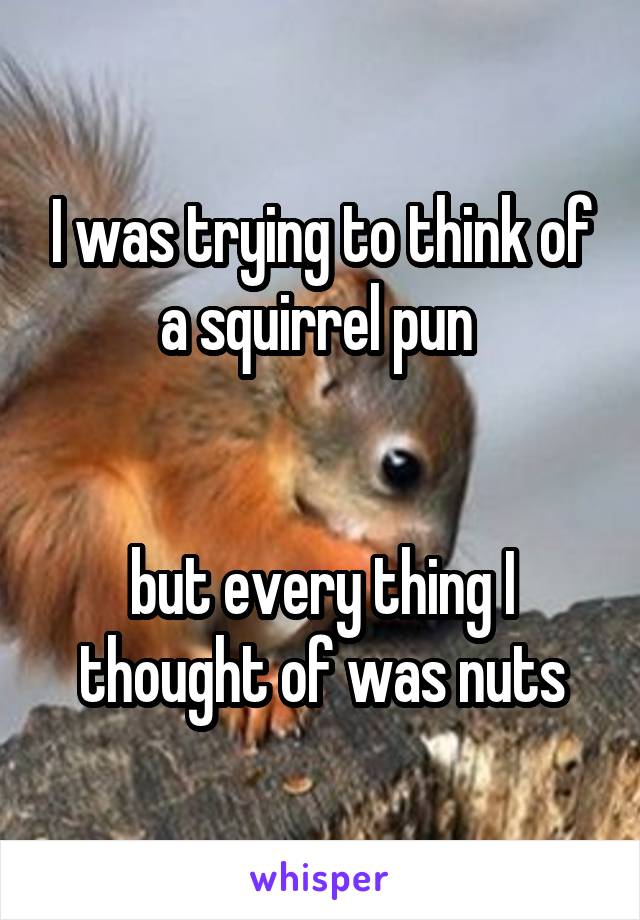 I was trying to think of a squirrel pun 


but every thing I thought of was nuts