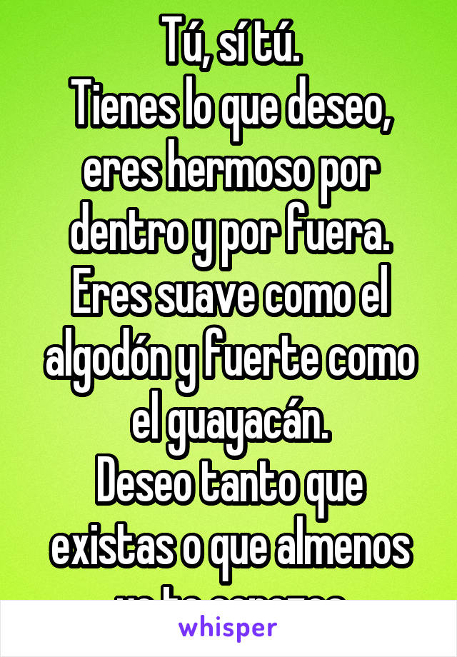 Tú, sí tú.
Tienes lo que deseo, eres hermoso por dentro y por fuera. Eres suave como el algodón y fuerte como el guayacán.
Deseo tanto que existas o que almenos yo te conozca