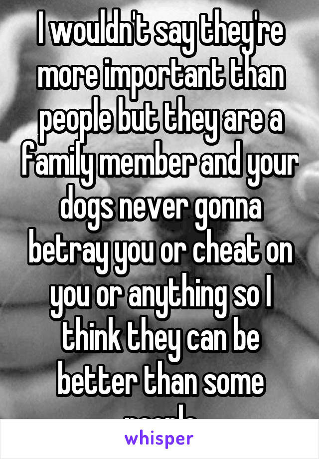 I wouldn't say they're more important than people but they are a family member and your dogs never gonna betray you or cheat on you or anything so I think they can be better than some people