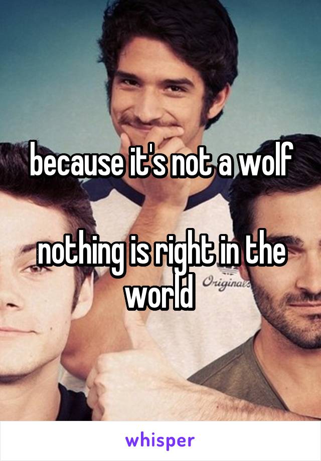 because it's not a wolf

nothing is right in the world 