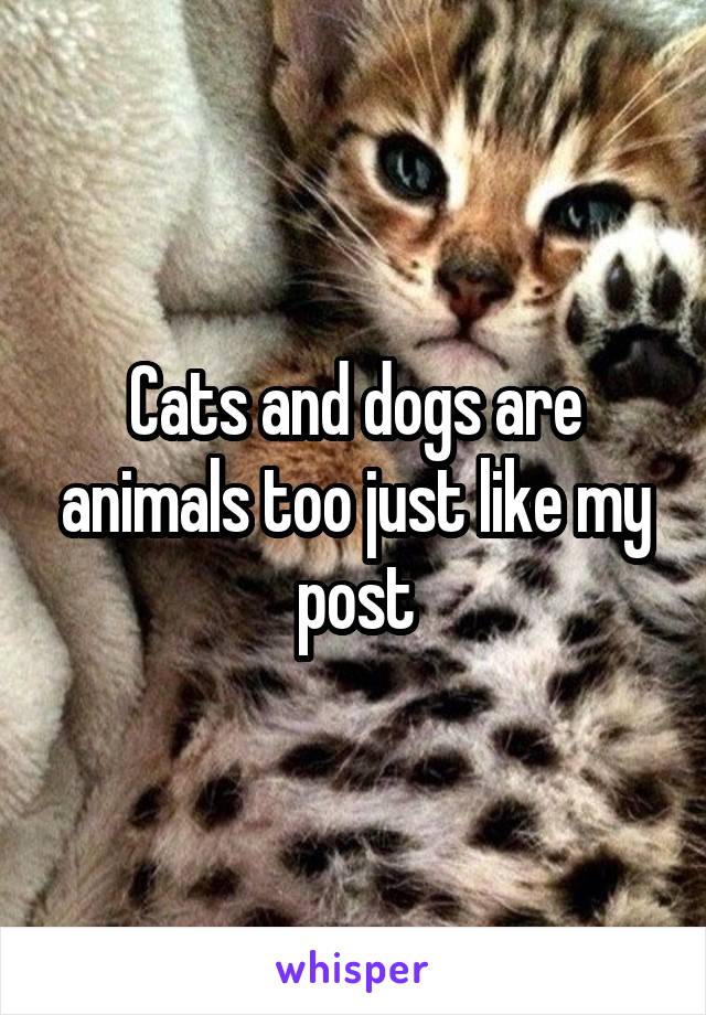 Cats and dogs are animals too just like my post