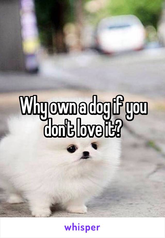 Why own a dog if you don't love it?