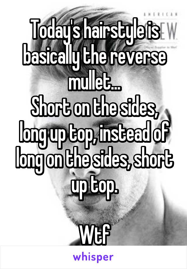 Today's hairstyle is basically the reverse mullet...
Short on the sides, long up top, instead of long on the sides, short up top.

Wtf