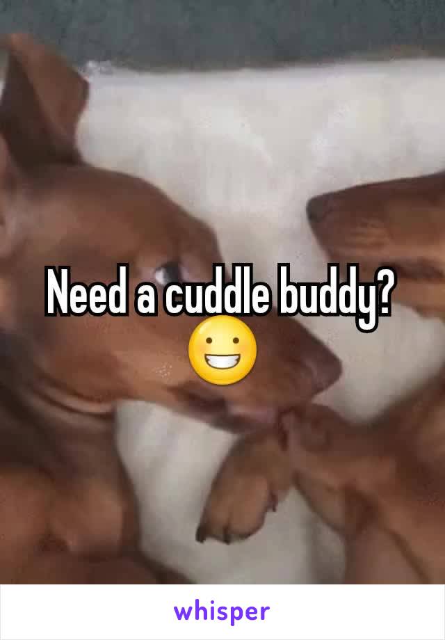 Need a cuddle buddy?😀