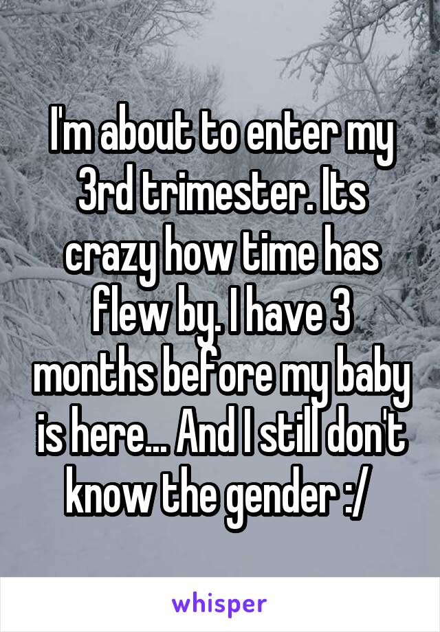 I'm about to enter my 3rd trimester. Its crazy how time has flew by. I have 3 months before my baby is here... And I still don't know the gender :/ 