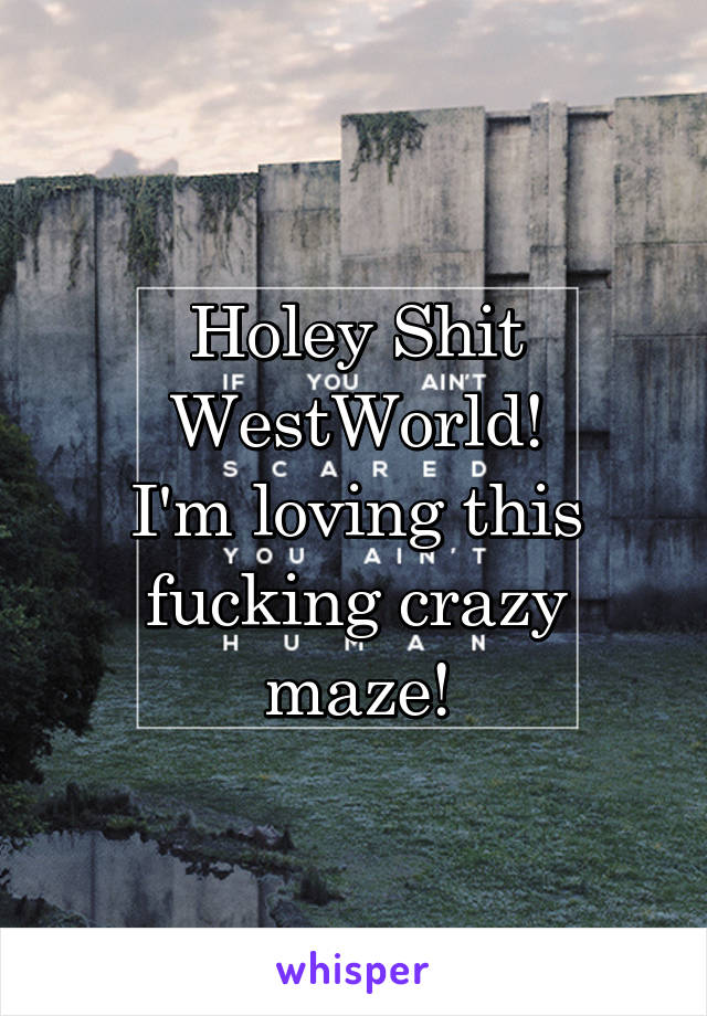 Holey Shit WestWorld!
I'm loving this fucking crazy maze!