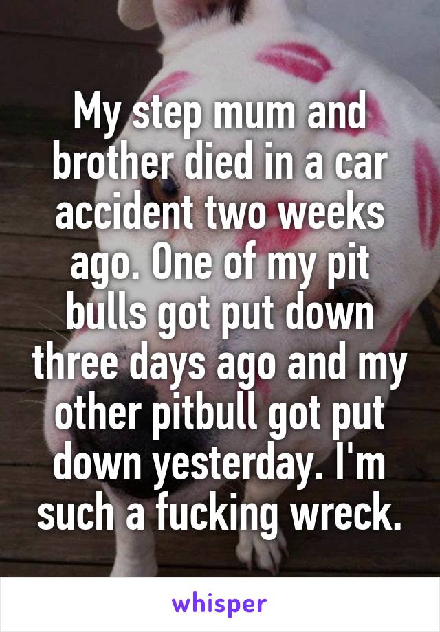 My step mum and brother died in a car accident two weeks ago. One of my pit bulls got put down three days ago and my other pitbull got put down yesterday. I'm such a fucking wreck.