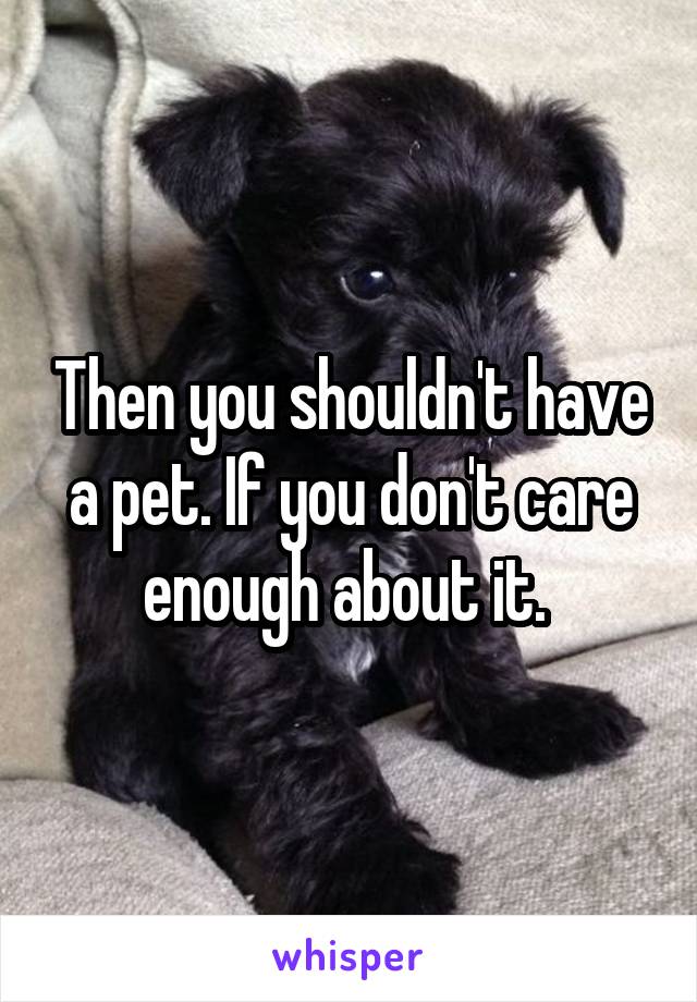 Then you shouldn't have a pet. If you don't care enough about it. 